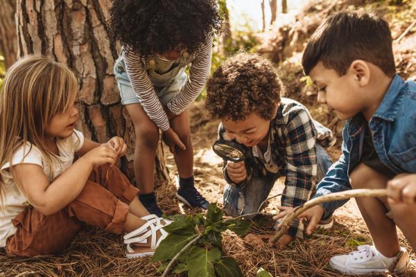 four small children playing in forest and investigating their surroundings