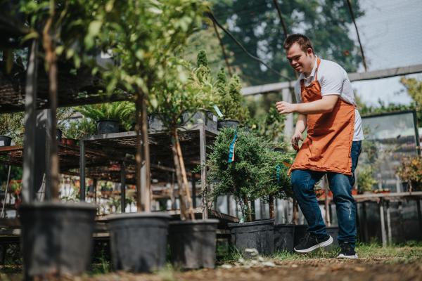 A young man with a disability enthusiastically tends to plants in a lush greenhouse, demonstrating empowerment and inclusion. The scene is filled with vibrant greenery and a sense of accomplishment.