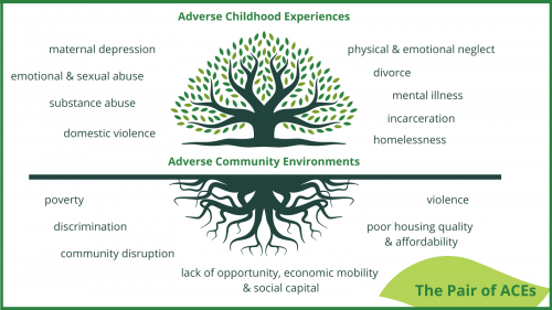 pair of ACEs illustration; tree blooming with roots below in center surrounded b